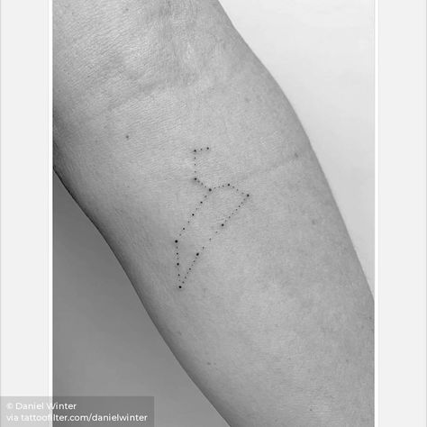 Leo Constellation Tattoo Men, Leo Star Constellation Tattoo, Astronomy Tattoos, Capricorn Constellation Tattoo, Star Constellation Tattoo, Aquarius Constellation Tattoo, Leo Constellation Tattoo, Winter Tags, Astronomy Tattoo