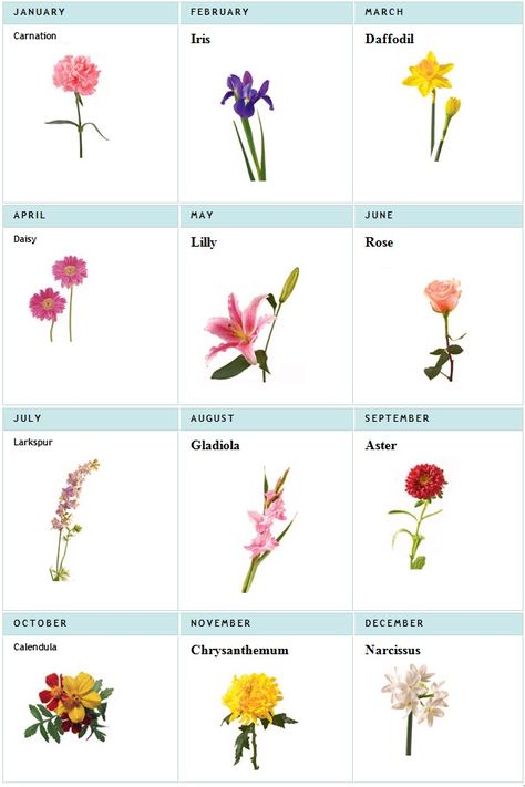 birth month flowers for my tattoo, all my loves have the prettiest flowers too eekkk can't wait! Flowers For Each Month, Wildflowers Tattoo, Flower Bouquet Tattoo, Bouquet Tattoo, Flower Sleeve, Birth Flower Tattoos, Flower Meanings, Trendy Flowers, Tattoos For Daughters