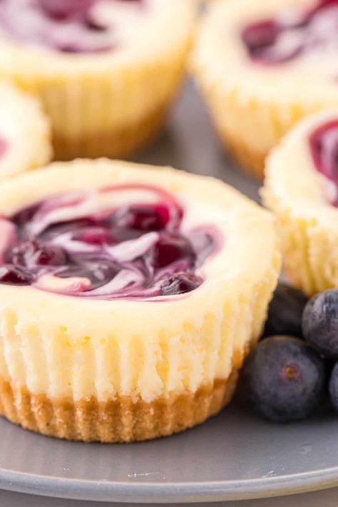 Lemon Blueberry Cheesecake, Lemon Bar, Blueberry Pie Filling, Make Ahead Desserts, Cheesecake Bites, Blueberry Pie, Vanilla Wafers, Blueberry Cheesecake, Mini Cheesecakes