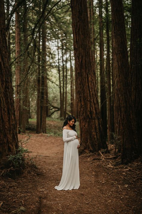 Trees Maternity Shoot, Maternity Photography Woods Outdoor, Maternity Photography Trees, Maternity Pictures In Forest, Maternity Mood Board, Redwoods Maternity Photos, Maternity Photo Shoot Ideas Forest, Maternity Photography In Woods, Pregnant Session Ideas