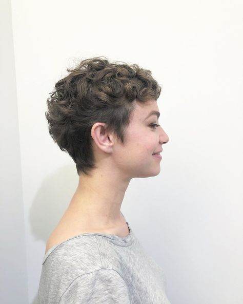 A pixie hairstyle might seem, but a pixie cut is a gorgeous look for someone who wants to try something new with their hair. Taking the plunge might b... Pixie Cut Curly Hair, Hairstyles Halloween, Men Prom, Halloween Hairstyles, Short Curly Hairstyles For Women, Curly Pixie Hairstyles, Short Curly Pixie, Curly Pixie Haircuts, Hairstyle Short