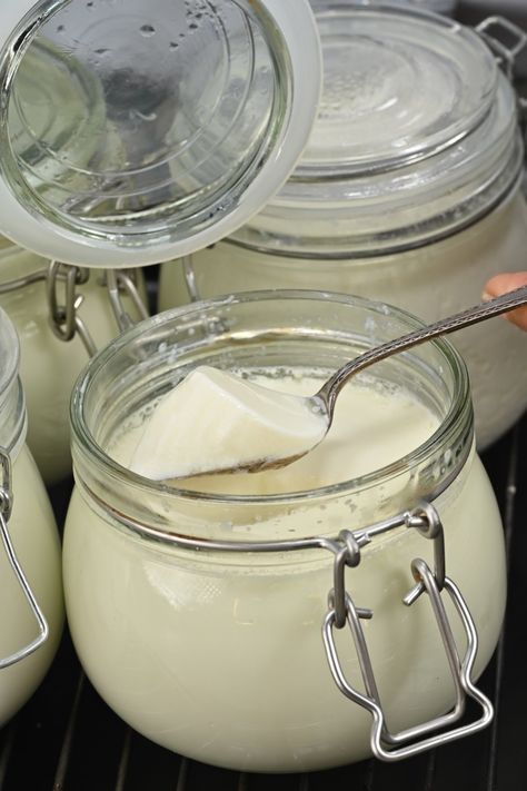 Learn how to make creamy, delicious homemade yogurt from scratch using just two simple ingredients—no special equipment needed! Homemade Skyr Yogurt, Yogurt Starter Recipe, Making Yogurt Homemade, Diy Greek Yogurt, Yogurt From Scratch, Yogurt Starter, Yogurt Homemade, Home Made Cheese, Homemade Yogurt Recipes