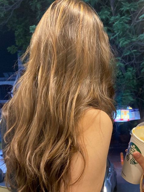 Light Brown Hair Shades, Brown Hair Inspiration, Rambut Brunette, Golden Brown Hair, Hair Color Light Brown, Cut My Hair, Hair Inspo Color, Light Hair, Light Brown Hair