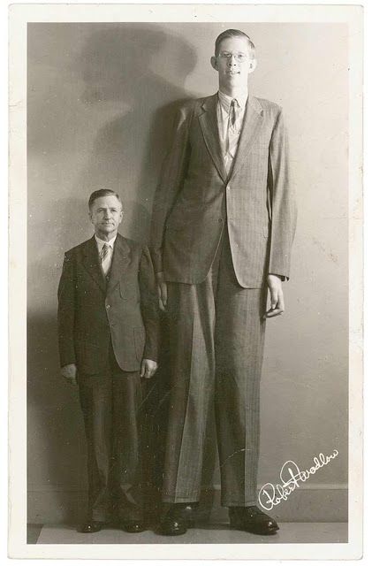 Robert Pershing Wadlow (1918-1940) is the tallest person in history for whom there is irrefutable evidence. Wadlow is sometimes known as the... Tallest Man, Giant People, Human Oddities, Tall Person, Tall People, Interesting History, True Life, 인물 사진, White Photo