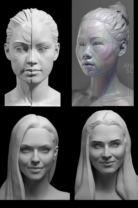 female face Female Face Planes, Female Face Structure, Male Vs Female Face, Female Face Anatomy, Female Head Anatomy, Female Face Reference, Human Anatomy Female, Blend Contour, Zbrush Anatomy