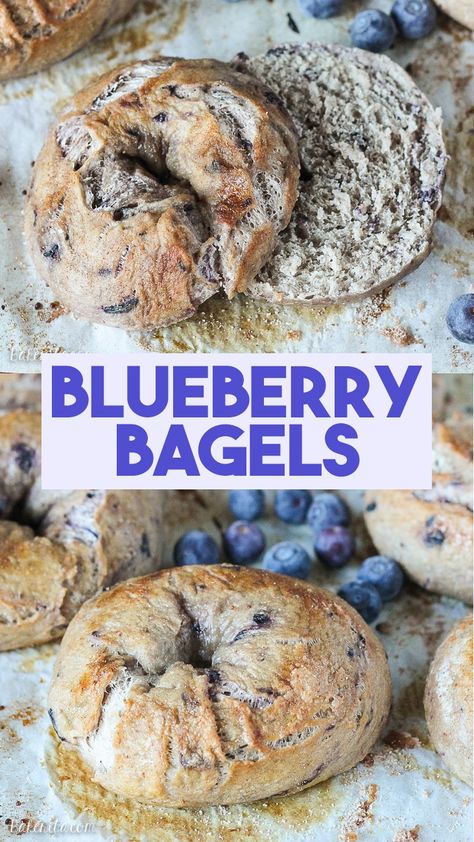 These homemade Blueberry Bagels have a sweet blueberry flavor and toast up beautifully! You'll love having fresh bagels for breakfast, and they take less than 2 hours to prepare. Bagel Toppings Ideas, Easy Homemade Bagels, Fresh Bagels, Blueberry Bagels, Blueberry Bagel, Bagels Recipe, Bagel Toppings, Homemade Bagels, Bagel Recipe