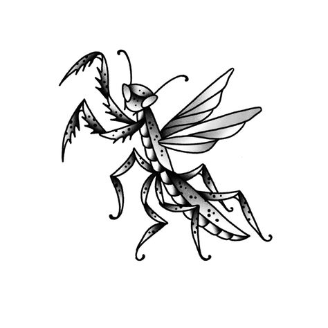 Traditional Bug Tattoo Old School, Traditional Bug Tattoo Flash, Praying Mantis Tattoo Traditional, Weevil Tattoo, Traditional Insect Tattoo, Traditional Bug Tattoo, Mantis Tattoo, Insect Tattoos, Traditional Black Tattoo