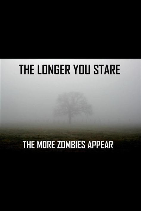 Soooooo scary! Zombie Apocolypse, Walking Dead Zombies, Zombie Humor, Zombie Attack, Zombie Walk, Dead Zombie, Zombie Movies, Apocalypse Survival, Evil Dead