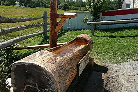 nature tales and camera trails: A water trough for horses Horse Water Trough, Horse Trough, Horse Water, Livestock Feed, Water Trough, Farmhouse Kitchen Remodel, Backyard Water Feature, Deck Stairs, King's Landing