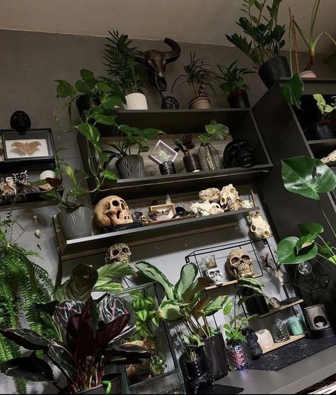 Spooky Plant Aesthetic, Plant Witch Aesthetic Room, Spooky Aesthetic Living Room, Plant Room Dark Academia, Collector Home Decor, Spooky Earthy Aesthetic, Forest Bedroom Aesthetic Grunge, Goth Office Aesthetic, Small Goth Apartment Ideas