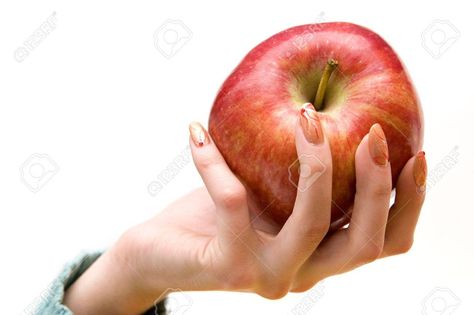 Day 1: Poisonous: Hand holding apple Hand Holding Apple, Reference Person, Hand Holding Something, Holding An Apple, Apple Drawing, Stock Photography Ideas, Hand References, Apples Photography, Photography Female