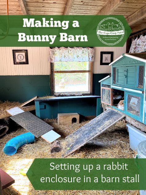 Making a Bunny Barn - Rabbit Enclosure in Barn Stall - The Cape Coop Rabbit Shed Ideas, Bunny Coop, Bunny Sheds, Rabbit Shed, Angora Bunny, Rabbit Pen, Rabbit Enclosure, Rabbit Ideas, Barn Stalls