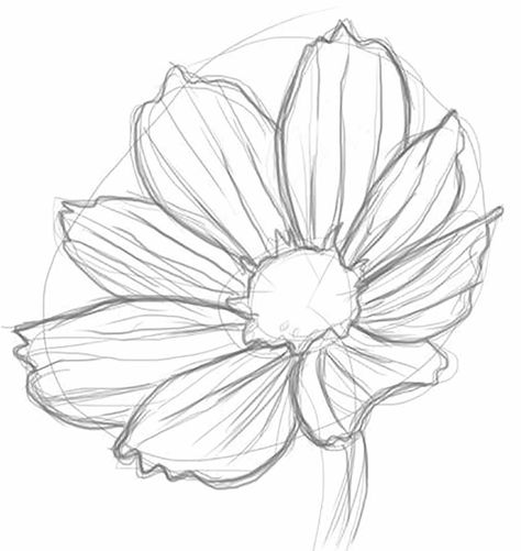 Drawing Advanced, Realistic Flower Drawing, Ako Kresliť, Draw A Flower, Simple Flower Drawing, Easy Flower Drawings, Pencil Drawings Of Flowers, Drawing Realistic, Flower Line Drawings