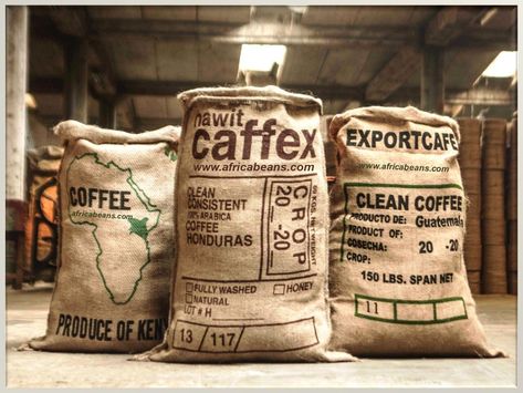 The Main Use of these Coffee Jute Sack bags or jute gunny sack bags are packing agricultural products . These sack bags are also used for dairy/poultry/cattle feed packing. #Jute #Hessian #Burlap #Hemp #Cotton #Sack #Bag #Bags #Gift #Business #trending #trend #Best #B2B #Sales #Marketing #Market #Fashion #Model #Wholesale #Bulk #Trade #Eco #Environment #Climate #Sustainable #GlobalGoal #SDG https://asiajute.com/product-category/coffee-bag/ Coffee Bean Sacks, Burlap Coffee Bags, Coffee Bean Bags, Gunny Sack, Jute Shopping Bags, Jute Sack, Coffee Sack, Potato Bag, Cattle Feed