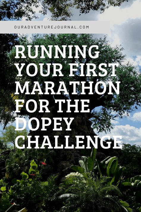 Running Your First Marathon for the Dopey Challenge Dopey Challenge, Walt Disney World Marathon, Tips For Running, First Marathon, Before Running, Bus Ride, Run Disney, Marathon Running, Training Plan