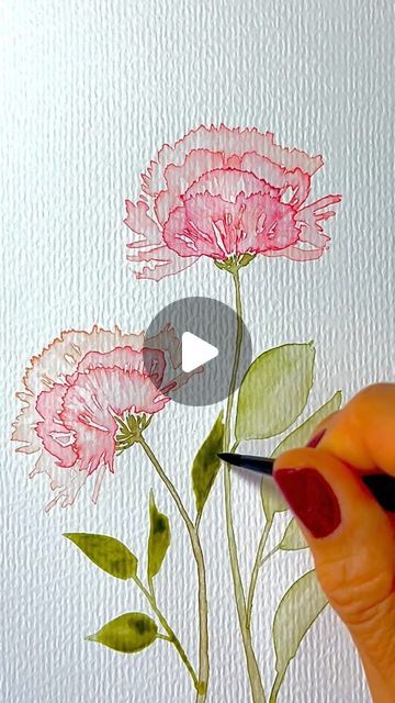 Watercolor Carnation, Carnation Watercolor, Watercolour Peonies, Painting Carnations Flower, Watercolour Carnation, Easy Watercolor Peony, Carnation Flower Watercolor Painting, Watercolour Pink Flowers, Easy Art Lessons