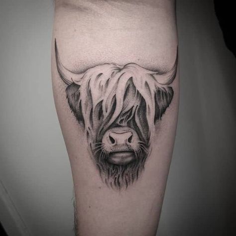 Highland Bull Tattoo, Cow Tattoo Sleeve, Cow Tattoo For Women, Highland Calf Tattoo, Scottish Highlands Tattoo, Cow Sleeve Tattoo, Cow Calf Tattoo, Scottish Cow Tattoo, Highland Cow Tattoo Ideas