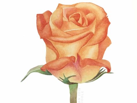 Orange Rose Drawing, Orange Rose Tattoo, Dad Tattoo, Roses Art, Rosé Png, New Yorker Covers, Inspiration Painting, Dad Tattoos, Rose Drawing