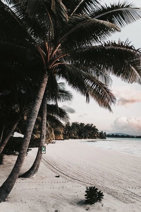 French Polynesian Islands, Water Bungalow, Polynesian Islands, Photo Summer, Tropical Getaways, Beach Wallpaper, Bora Bora, Underwater Photography, Beach Aesthetic