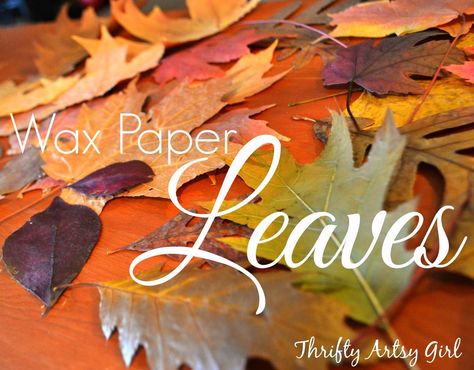 Hometalk | How to Easily Preserve Fall Leaves With an Iron and Wax Paper How To Wax Leaves, Preserving Leaves Wax Paper, Preserve Leaves Wax Paper, Leaves Wax Paper Iron, What To Do With Fall Leaves, Leaves In Wax Paper, Wax Paper Leaves, Waxing Leaves, Waxed Leaves