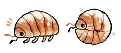 Cute Bug Art, Bug Drawing, Bugs Drawing, Pill Bug, Reading More, Cool Bugs, Bug Art, Arthropods, Insect Art