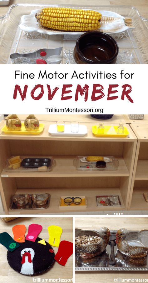 Preschool and fine motor activities for November and fall theme November Crafts Preschool, Preschool November, November Lesson Plans, Montessori Activities Preschool, Turkey Baster, November Activities, Montessori Lessons, November Crafts, Practical Life Activities