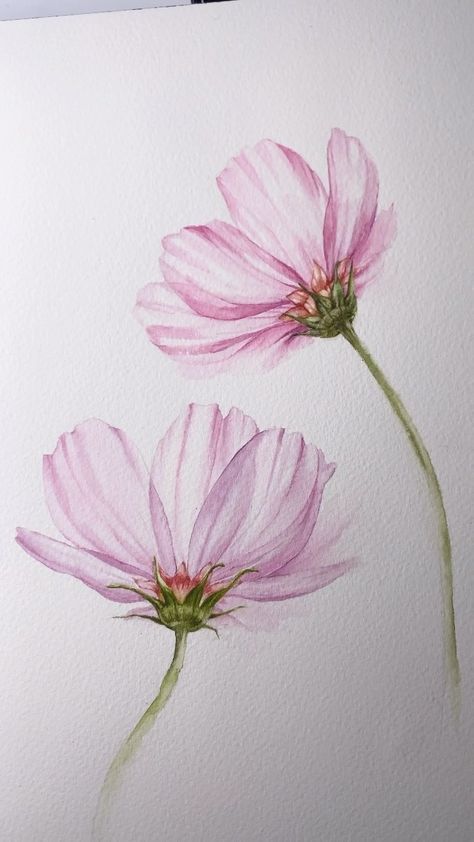 annah.design on Instagram: Now there are two 🌸🌸 . . I had left room for another cosmos flower on paper. So this is quite similar to my previous Reels, I hope you… Free Watercolor Flowers, Watercolor Aesthetic, Flower Drawing Tutorials, Watercolor Paintings For Beginners, Modern Art Paintings Abstract, Flower Art Drawing, Watercolour Inspiration, Flower Sketches, Watercolor Flower Art