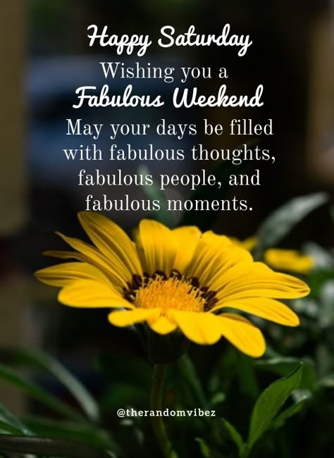 Happy Saturday! Wishing you a fabulous weekend! May your days be filled with fabulous thoughts, fabulous people, and fabulous moments. #Saturdayquotes #Saturdaymorningquotes #Saturdaysayings #Saturdaypositivequotes #Saturdaypictures #Saturdayimages #Saturdaymorningwishes #Goodmorningquotes #Morningquotes #Goodmorningsayings #Morningimages #Morningpictures #Refreshingquotes #Awesomequotes #Positiveenergy #Inspirationalmorningquotes #Inspirationalquote #Dailyquote #Instaquotes #therandomvibez Happy Saturday Quotes, Saturday Pictures, Saturday Morning Quotes, Happy Saturday Morning, Saturday Greetings, Saturday Blessings, Blessings Quotes, Happy Day Quotes, Saturday Quotes