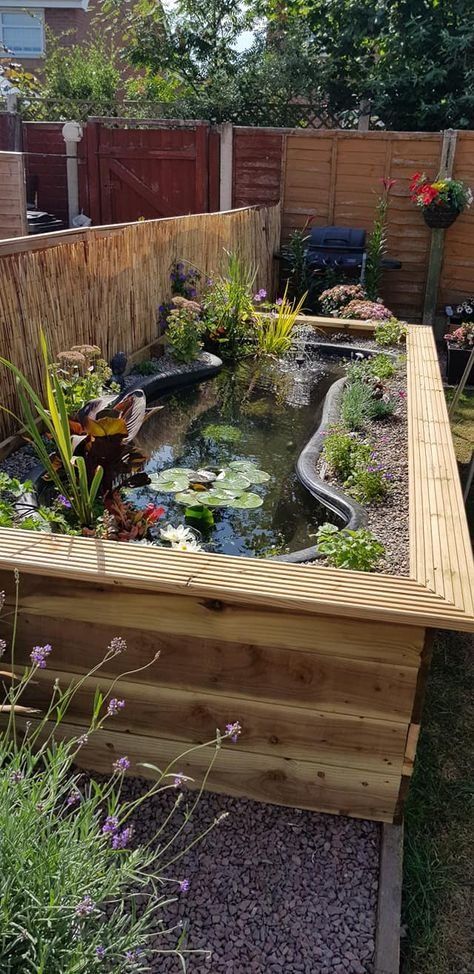 Garden Bed Water Feature, Garden Design With Pond, Garden Ground Ideas, Raised Water Features In The Garden, Raised Bed Pond, Above Ground Turtle Pond, Flower Bed Pond Ideas, Raised Bed Water Feature, Raised Garden Flower Beds Ideas