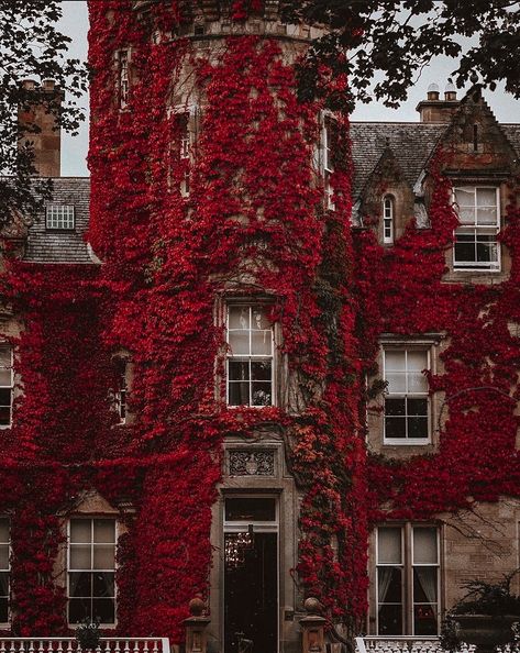 Dark Academia House Exterior, Dream Dark, Dark Naturalism, Academia Aesthetics, Victorian Bedroom, Fantasy Setting, Autumn Scenery, Colonial House, Red Aesthetic