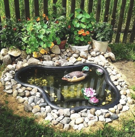 Small Garden Pond, Pond Design Ideas, Small Backyard Ponds, Monarch Butterfly Garden, Garden Ideas On A Budget, Ponds For Small Gardens, Fish Pond Gardens, Backyard Ponds, Turtle Pond