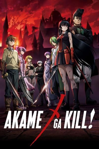 Sheele Akame Ga Kill, Anime Movie Poster, Fan Art Anime, Accel World, Anime Watch, Rurouni Kenshin, Akame Ga, 5 Anime, Good Manga