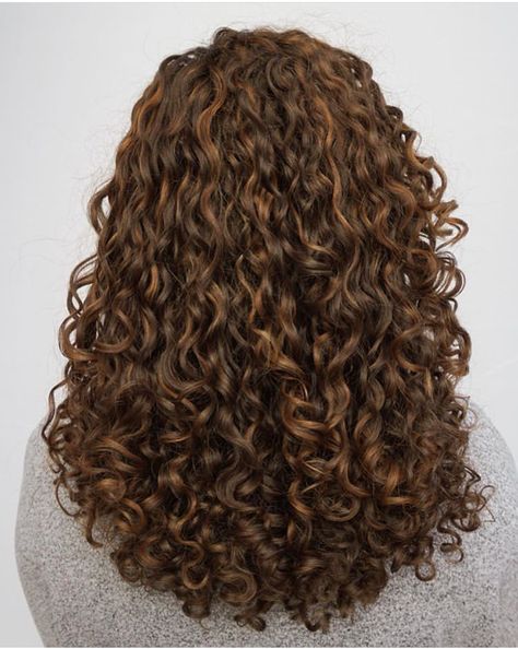 Chestnut Brown Hair Curly, Chestnut Brown Highlights Curly Hair, Chocolate Colored Hair, Chocolate Brown Hair Curly Natural Curls, Caramel Brown Hair Curly, Brown Pintura Highlights Curly Hair, Chestnut Brown Curly Hair, Coloring Curly Hair, Chocolate Brown Curly Hair