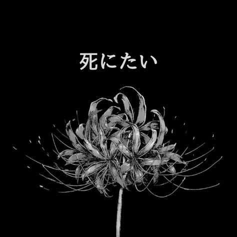 Spider Lily, Lily Tattoo, Black Spider, Tat Ideas, Laptop Wallpaper, Black Aesthetic, Graphic Design Art, Wallpaper Quotes, Desktop Wallpaper