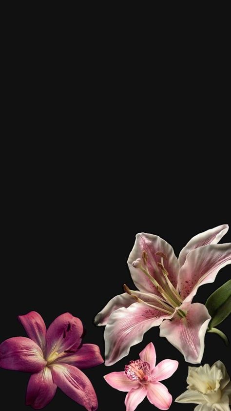 Black Flowers Wallpaper, Pretty Wallpaper Ipad, Cute Summer Wallpapers, Simple Phone Wallpapers, Simple Iphone Wallpaper, Iphone Wallpaper Pattern, Hippie Wallpaper, Iphone Wallpaper Photos, Iphone Wallpaper Themes