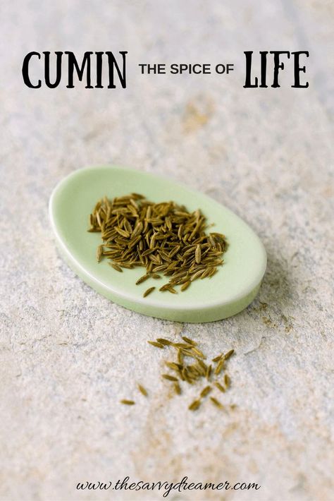 How you can use cumin in cooking! #cumin #spices #homecooking #health #foodblog #thesavvydreamer Cumin Benefits, Healthy Home Cooked Meals, Cumin Recipes, Spiced Rice, Holistic Recipes, Home Cooked Meals, Best Chili Recipe, Feel Healthy, Food Advice