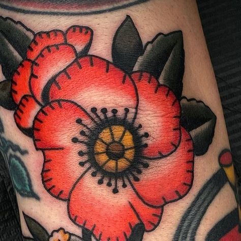 Tony Perez on Instagram: "Elbow Poppy   Drawn to fit." Old School Poppy Tattoo, Poppy Tattoo Traditional, Poppy Tattoo Men, Traditional Poppy Tattoo, Red Poppy Tattoo, Poppy Flower Tattoo, Flower Reference, Poppy Tattoo, Poppies Tattoo