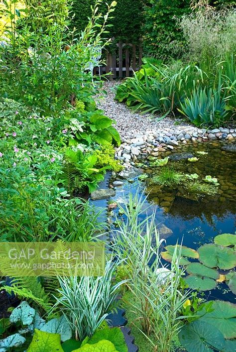 Heather Gardens, Wildlife Pond, Serenity Garden, Bog Garden, Backyard Garden Layout, Gravel Garden, Pond Design, Wildlife Gardening, Plant Photography