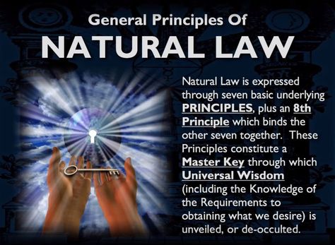 General Principles of Natural Law Mark Passio, Hermetic Principles, Quantum Physics Spirituality, Interesting Thoughts, Universal Laws, How To Believe, Metaphysical Spirituality, Altered State, Laws Of Life