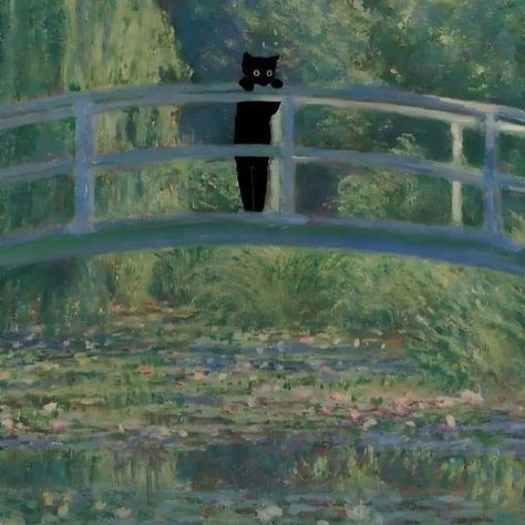 Maximalist Room Decor, Jason Anderson, Maximalist Room, Monet Water Lilies, York Minster, Cat Posters, Cute Wallpaper Backgrounds, Water Lilies, Cat Print