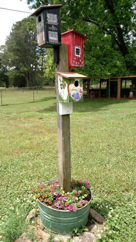 Birdhouse Pole Ideas, Bird House On Post, Birdhouse On A Pole, Birdhouse Pole, Front Yard Flowers, Homemade Bird Houses, Bird Houses Ideas Diy, Wooden Bird Houses, Front Yard Garden Design