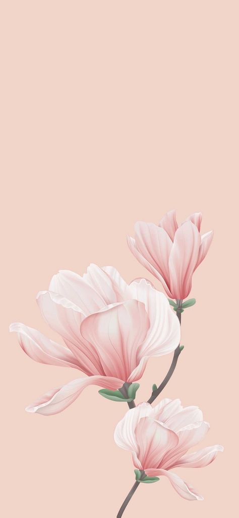 Pink Lock Screen Wallpaper, Border Wallpaper, Wallpaper Iphone Love, Phone Wallpaper Boho, Botanical Flower Art, Wallpaper Iphone Summer, Iphone Lockscreen Wallpaper, Minimal Wallpaper, Cool Backgrounds Wallpapers