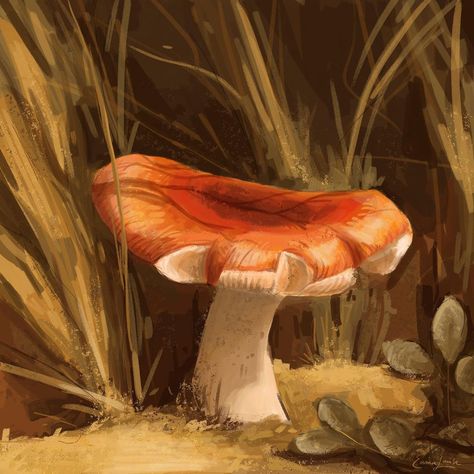 Emma Louise on Instagram: “Study of a mushroom in sunlight. Swipe for my reference. I’m really excited about this piece! I think it’s a step in my understanding of…” Art Phone Wallpaper, Boho Mushroom, Mushroom Painting, Orange Mushroom, Mushroom Drawing, Food Painting, Mushroom Decor, Mushroom Art, Cute Wallpaper Backgrounds