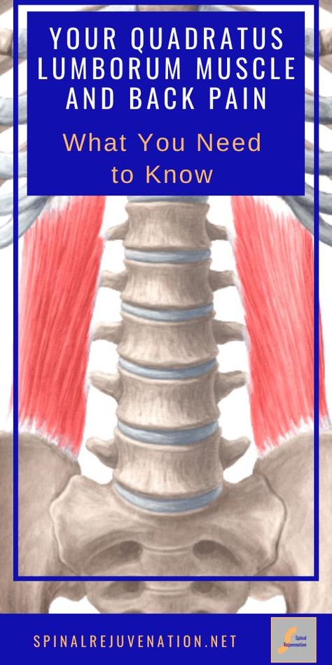 Quadratus Lumborum Stretch, Quadratus Lumborum, Lower Back Pain Stretches, Vitamins For Nerves, Back Spasm, Mid Back Pain, Back Pain Stretches, Causes Of Back Pain, Middle Back Pain