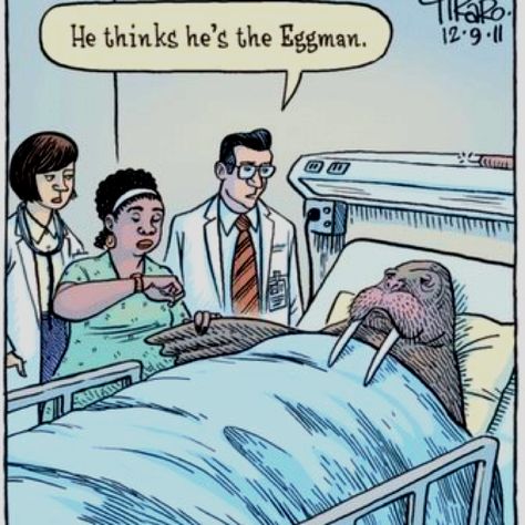 I am the Eggman. No I am the Walrus Beatles Funny, The Meta Picture, I Am The Walrus, Beatles Art, Beatles Fans, The Fab Four, Music Humor, Funny Cartoons, Bones Funny