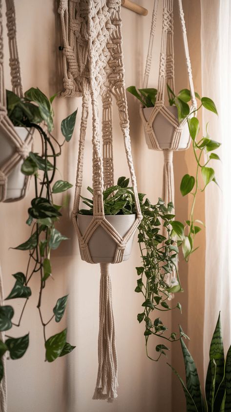 Elevate your plants with macramé hangers! This DIY hanging garden brings texture and greenery to your decor, perfect for boho and nature-inspired homes. Macro May Plant Holder, Hanging Bedroom Plants, Plant Hanging Wall, Hanging Plants Macrame, Macrame Planter Diy, Aesthetic Hanging Plants, Hanging Plants Bedroom, Macrame Store, Diy Hanging Garden