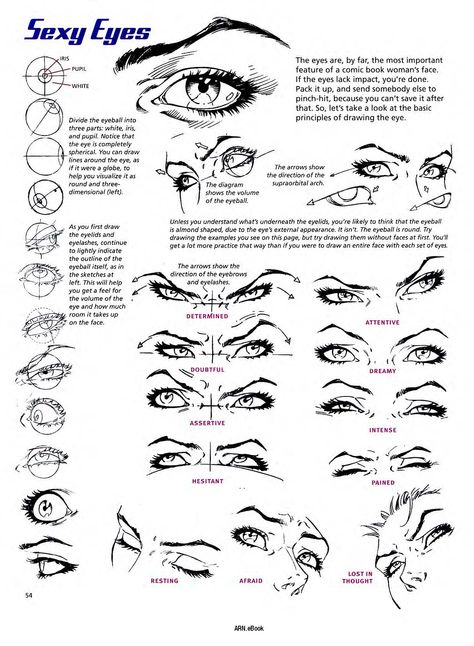 Drawing Male Eyes, Anatomy Shading, Drawing Realistic Eyes, 1950s Cartoon, Cartoon Anatomy, Christopher Hart, Facial Expressions Drawing, How To Draw Eyes, Art Of Drawing