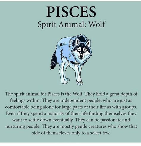 Spiritual Wolf Art, Gemini X Pisces Love, Spirit Animal Wolf, March Pisces, Pisces Virgo, Libra Aries, Pisces Personality, Pisces Traits, Pisces Girl