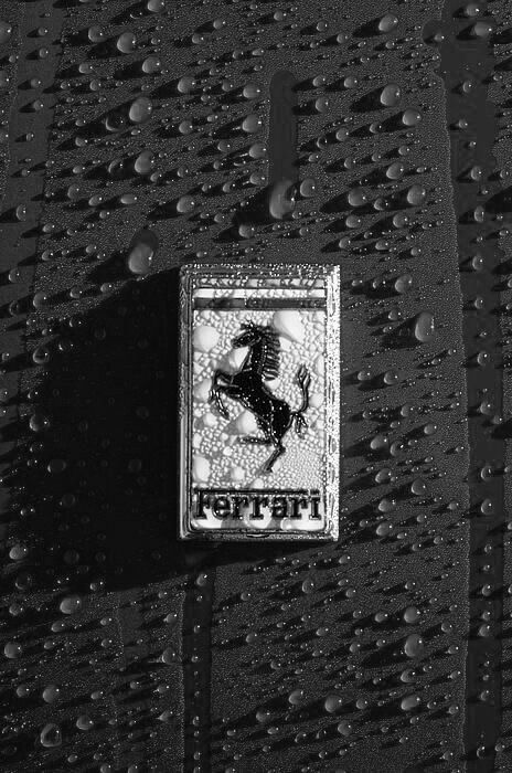 #ferrari #car #blackandwhite #formula1 #f1 #italian Black F1 Aesthetic, F1 Black Aesthetic, Subtle F1 Wallpaper Aesthetic, Bedroom Moodboard, White Ferrari, Ferrari Car, Ferrari F1, Charles Leclerc, Black And White Aesthetic