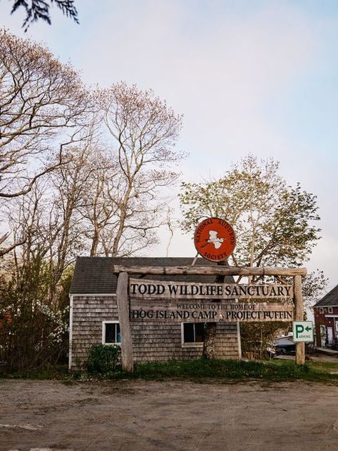 Maine magazine on Instagram: "Follow along with our top travel writing duo as they loop routes to and from Round Pond on the Pemaquid Peninsula, exploring the seafood spots, shops, coves, and villages that come to life for summertime along the Muscongus Bay via our link in bio. Photographer: Peter Frank Edwards (@pfephoto) Writer: Sandy Lang (@tinysuitcase) _____ #themainemag #mainetrips #mainesummer #roundpond #maineroadtrips" Chimney Pond Maine, French’s Point Maine, Maine Attractions, Maine Memes, Old Orchard Beach Maine, Travel Writing, Wildlife Sanctuary, Seafood, Maine